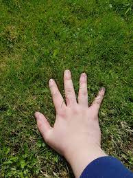 touching grass